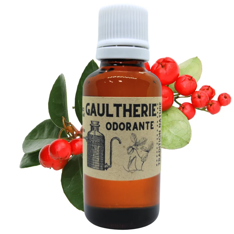 Huile essentielle de Gaulthérie (Wintergreen)