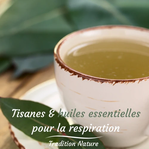 Respiration | Synergie 100 % huiles essentielles