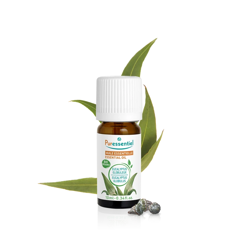 Huile Essentielle Eucalyptus Globuleux BIO