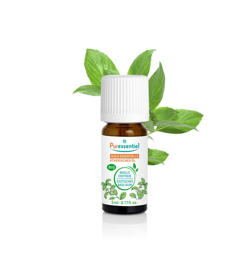 Huile Essentielle Basilic BIO