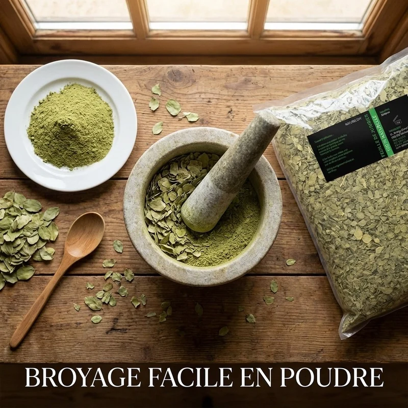 1kg Feuilles de Sidr Naturelles - Feuilles de Jujubier - Natureluxy