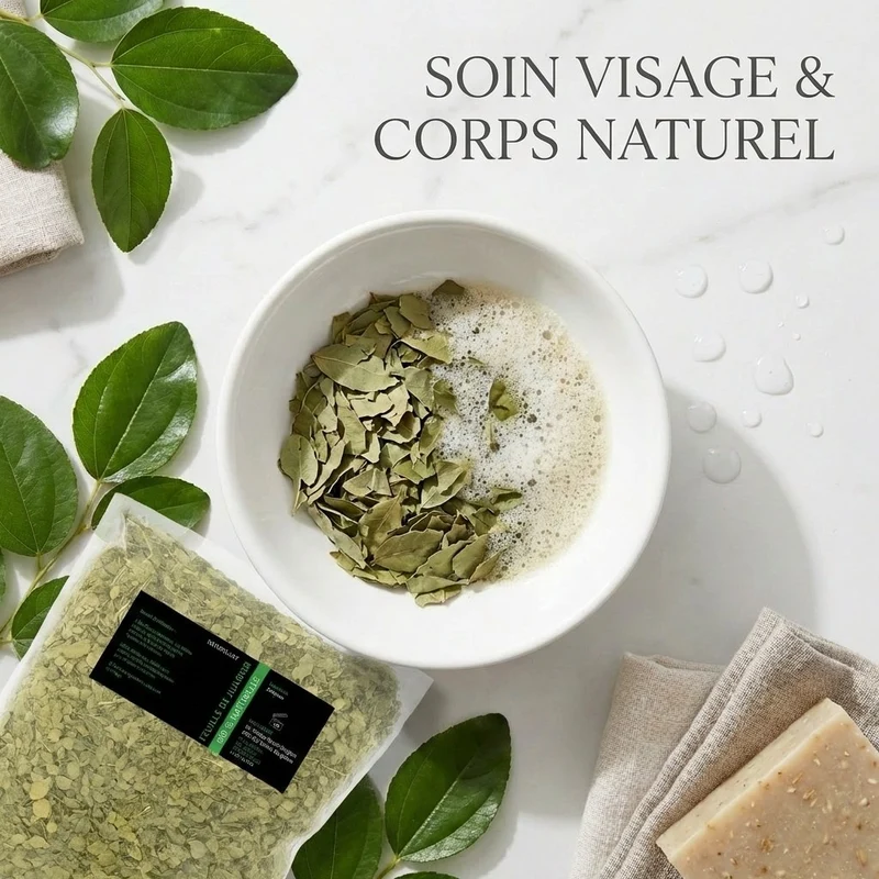 1kg Feuilles de Sidr Naturelles - Feuilles de Jujubier - Natureluxy