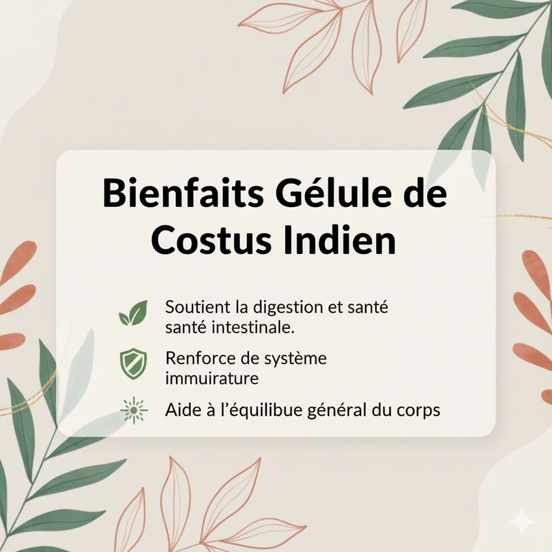 120 gélules Costus Indien – env. 300 mg par gélule – complément alimentaire