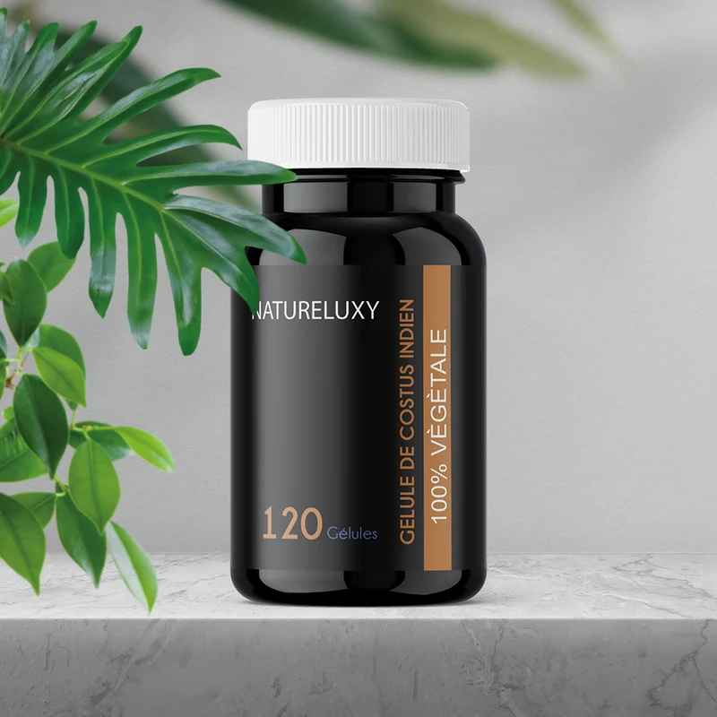 120 gélules Costus Indien – env. 300 mg par gélule – complément alimentaire