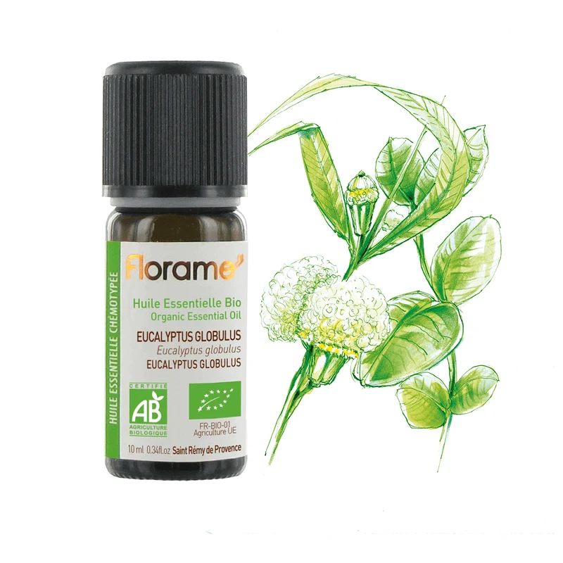 Huile Essentielle d'Eucalyptus Globulus Biologique
