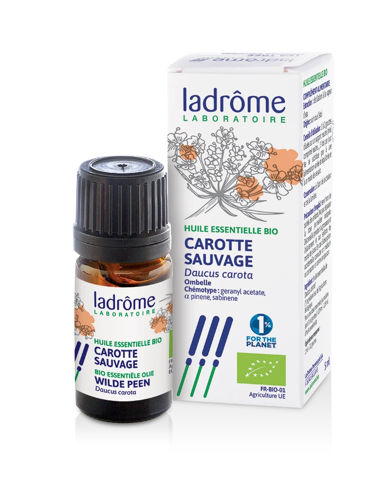 Carotte sauvage - Huile essentielle bio