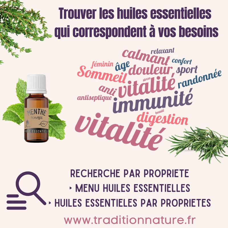 Huile essentielle de Thym à thymol