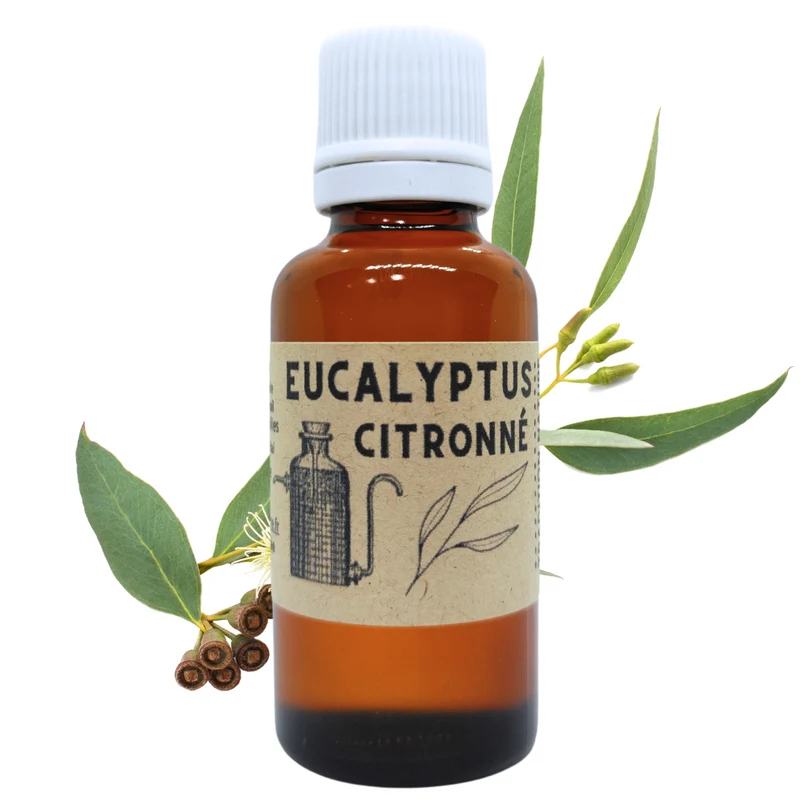 Huile essentielle d'Eucalyptus Citronné (Citriodora)