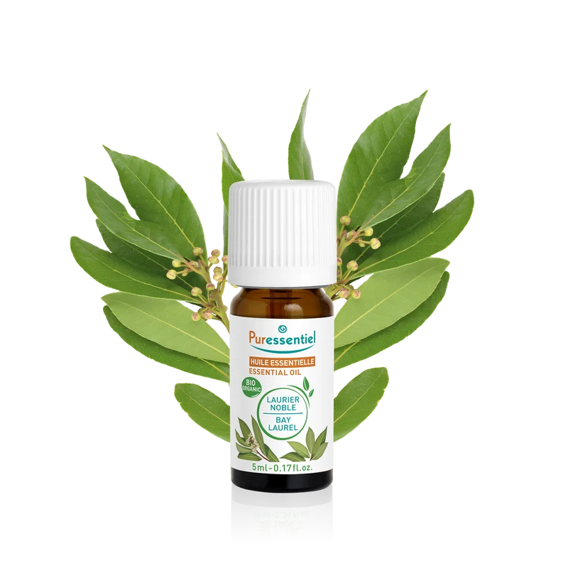 Huile Essentielle Laurier Noble BIO