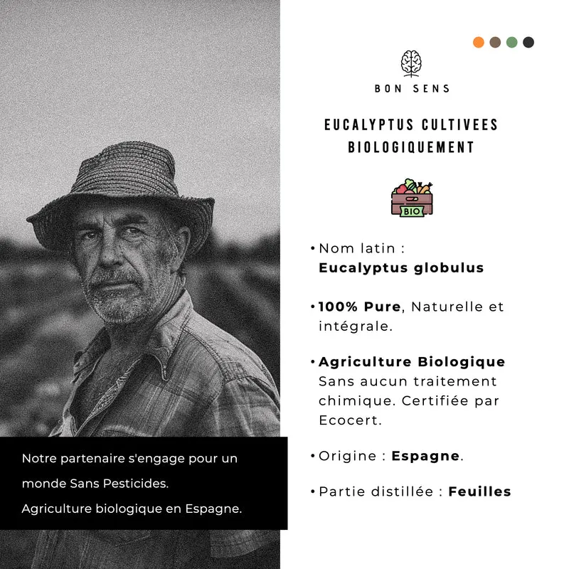Huile Essentielle d’Eucalyptus Bio