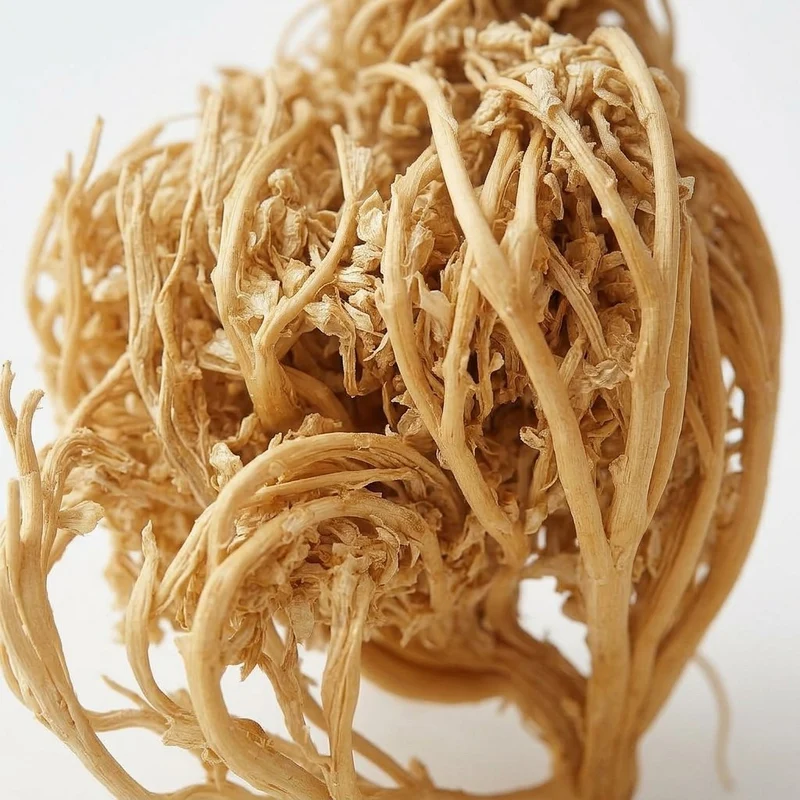 Chajarat Mariam (Rose de Jéricho) 50 g — Plante séchée pour infusion / décoction