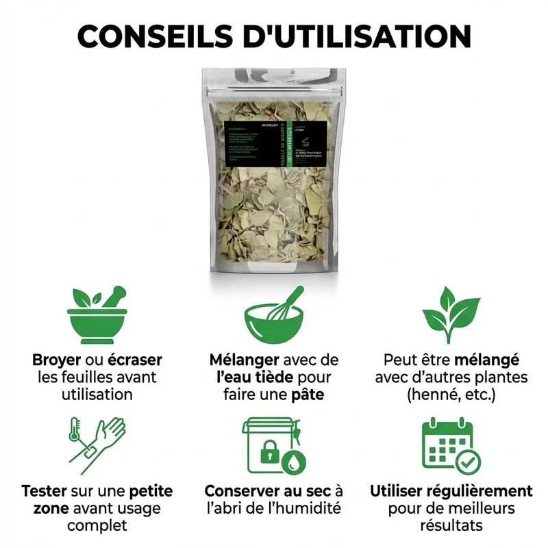 Feuilles de Sidr Naturelle 100g - Feuilles de Jujubier Séchées