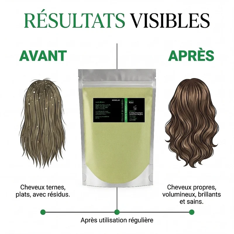 Sidr en Poudre NATURELUXY — 1 kg — 100% Naturel — Origine Maroc