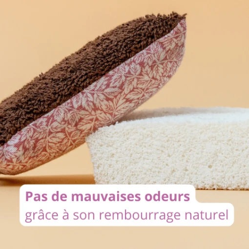 Éponge lavable