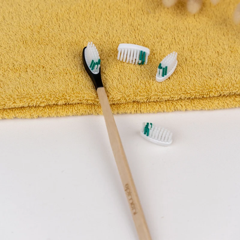 Manche de Brosse à dents La Maline