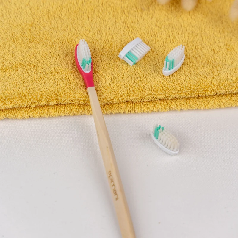 Manche de Brosse à dents La Maline