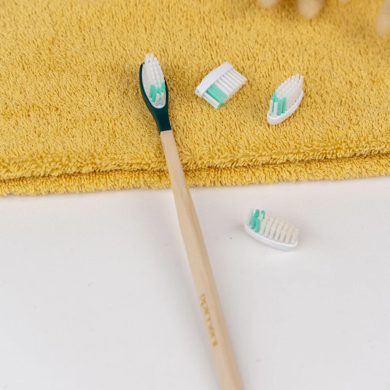 Manche de Brosse à dents La Maline