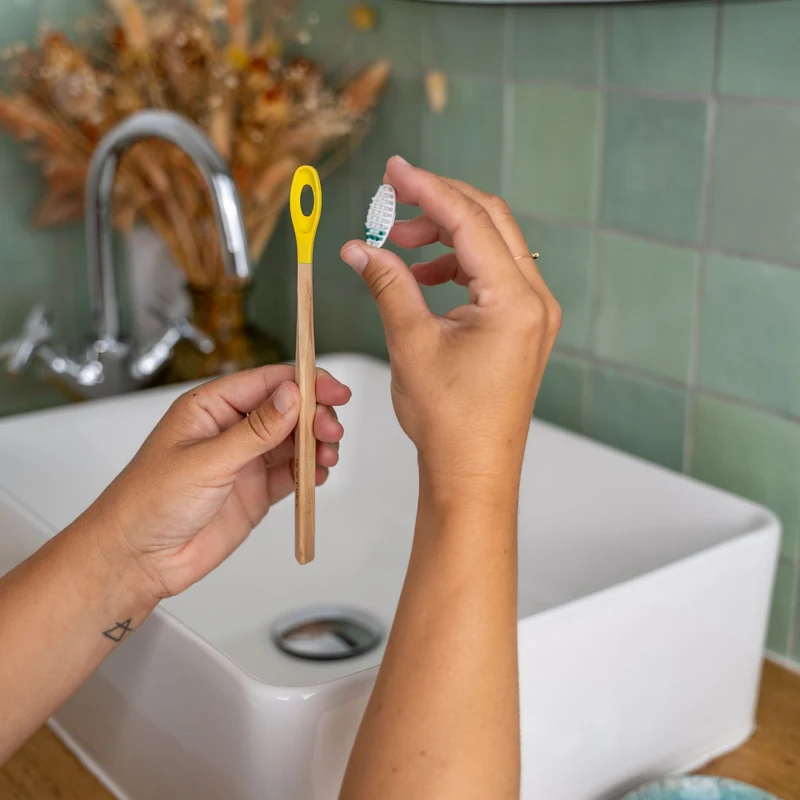 Manche de Brosse à dents La Maline