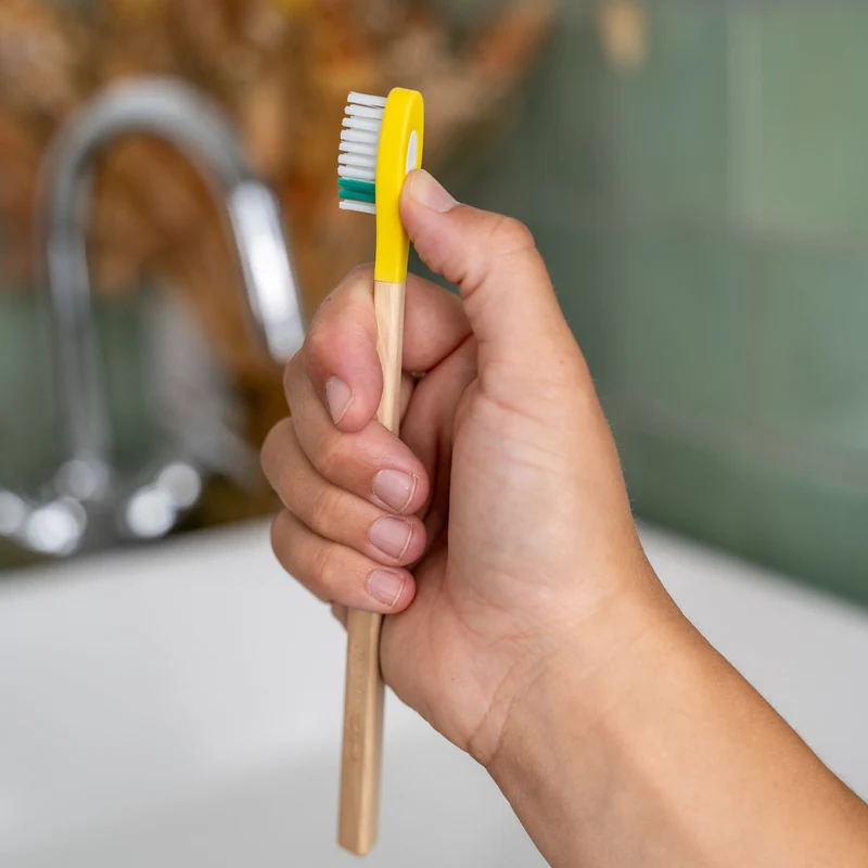 Manche de Brosse à dents La Maline
