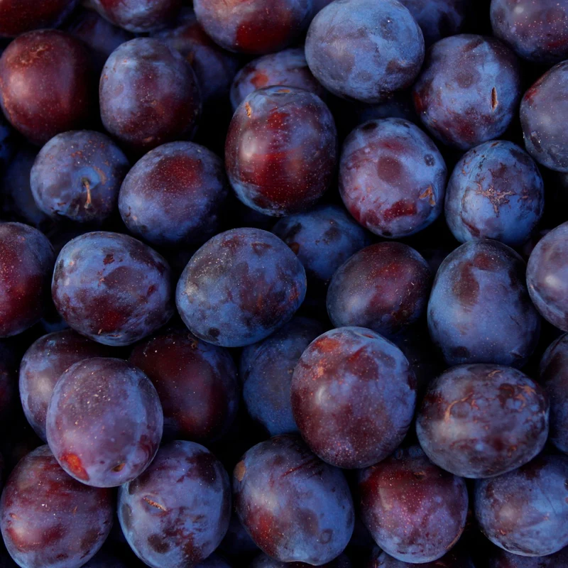 Huile de Prune