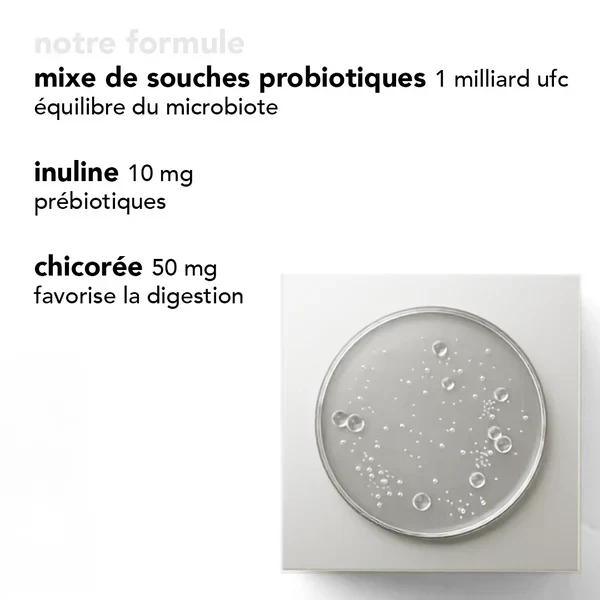 gummies digestion - digest & probiotics - prébiotiques + probiotiques