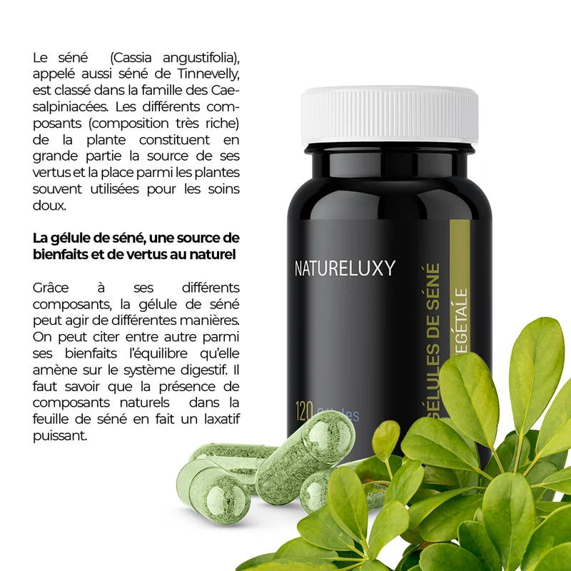 Gélules de Séné – Lot 5×120 (600 gélules) | Cassia angustifolia