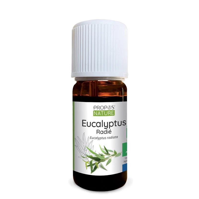Huile essentielle d'Eucalyptus radié Bio
