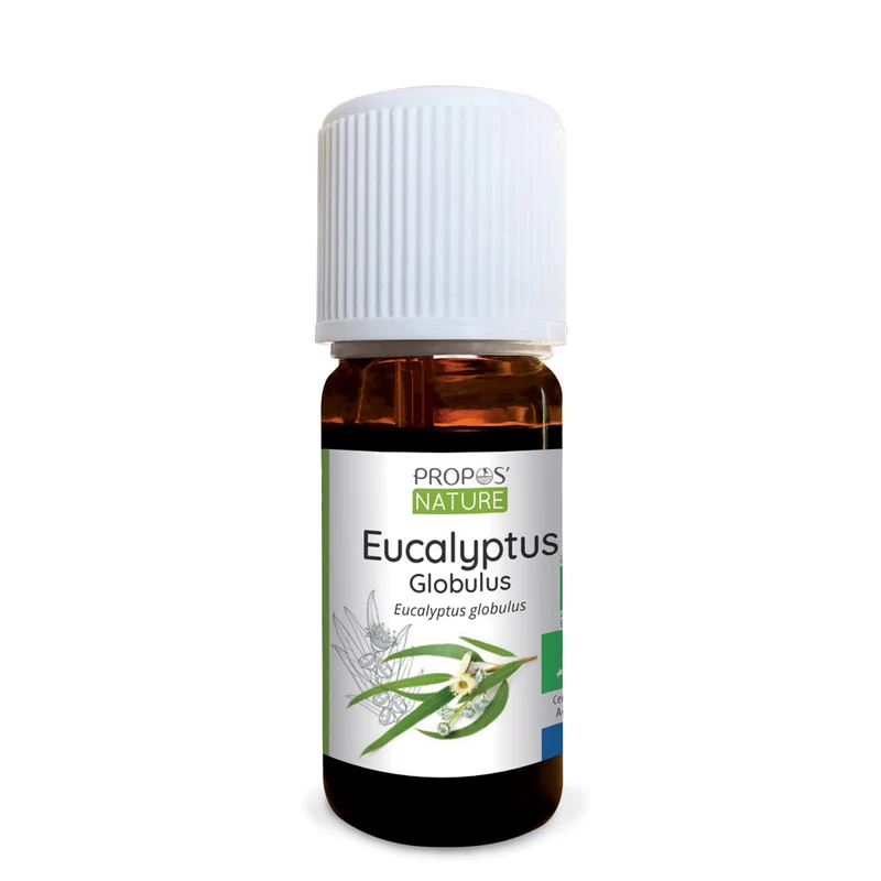 Huile essentielle d'Eucalyptus globulus Bio