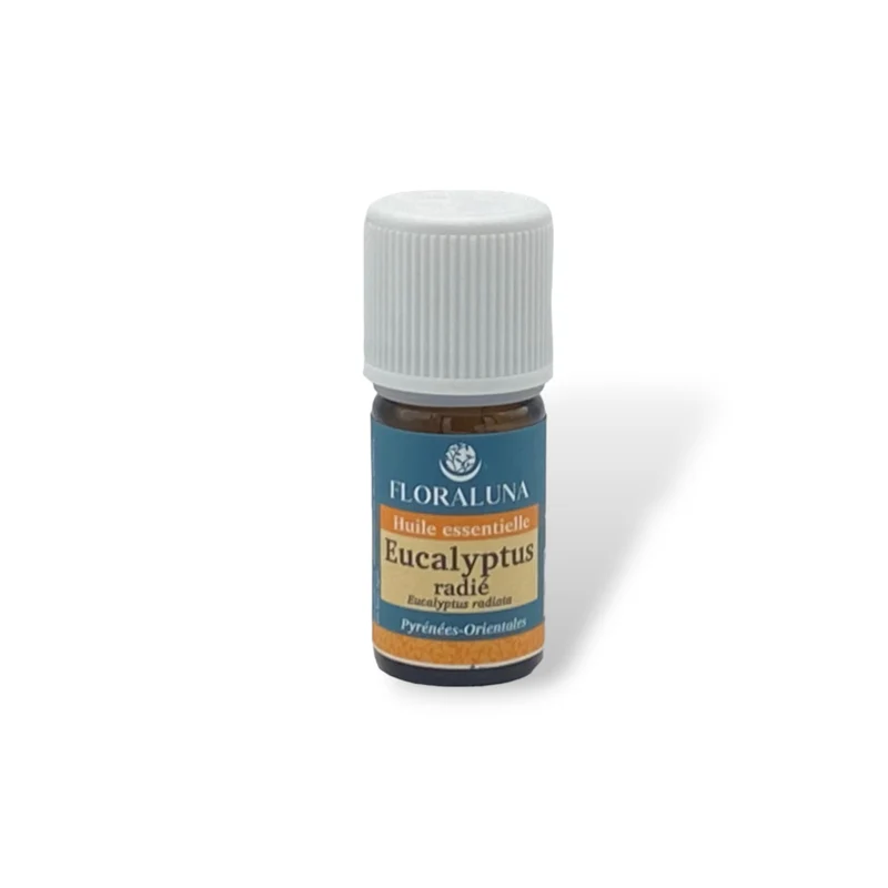 Huile essentielle Eucalyptus radié Bio 5 ml