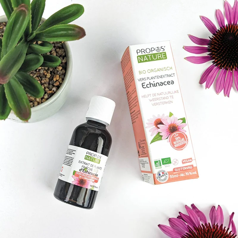 Extrait d'Echinacée hydroalcoolique Bio