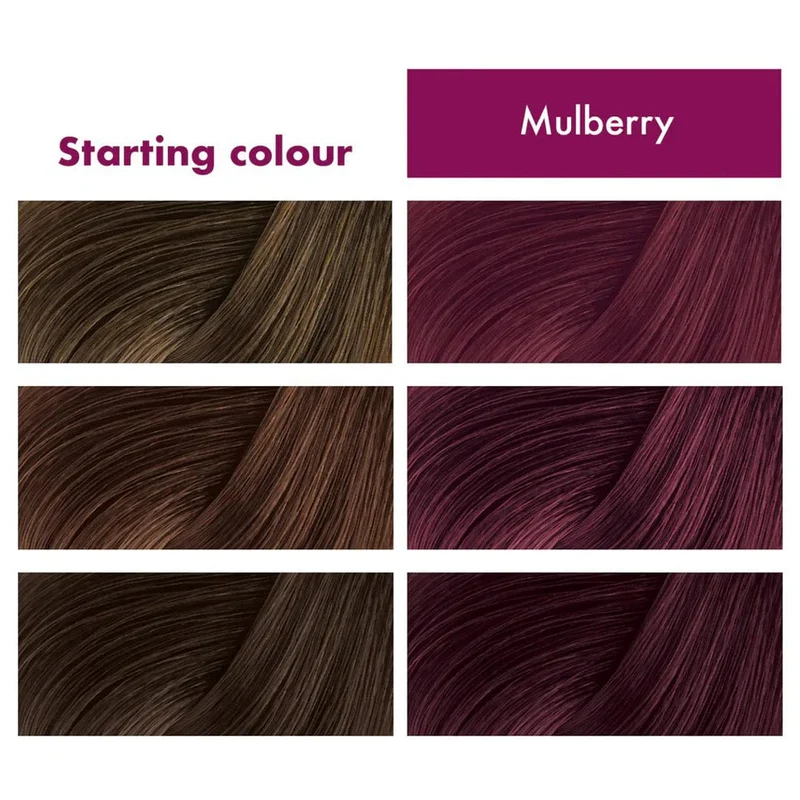 Umberto Giannini - Flowerology - Masque colorant temporaire "mulberry" - 200ml