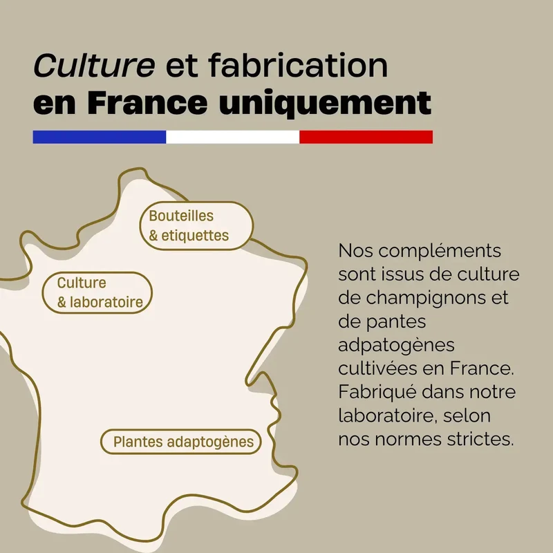 Pack Puissance Champignons. 4 fioles