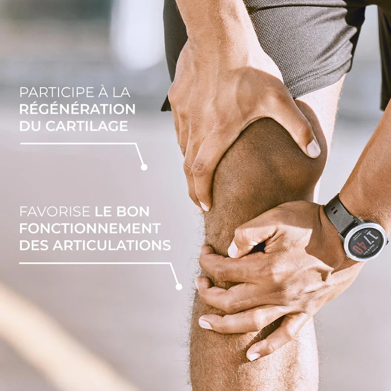 Articulation - Glucosamine Chondroitine Cassis