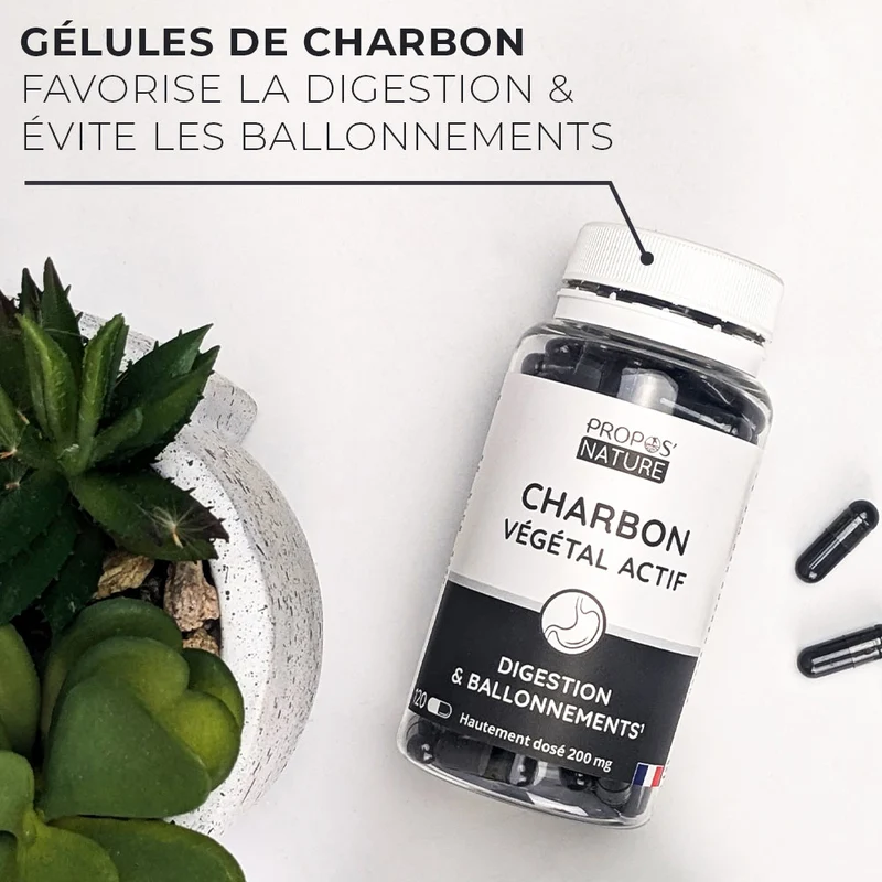 Charbon végétal actif