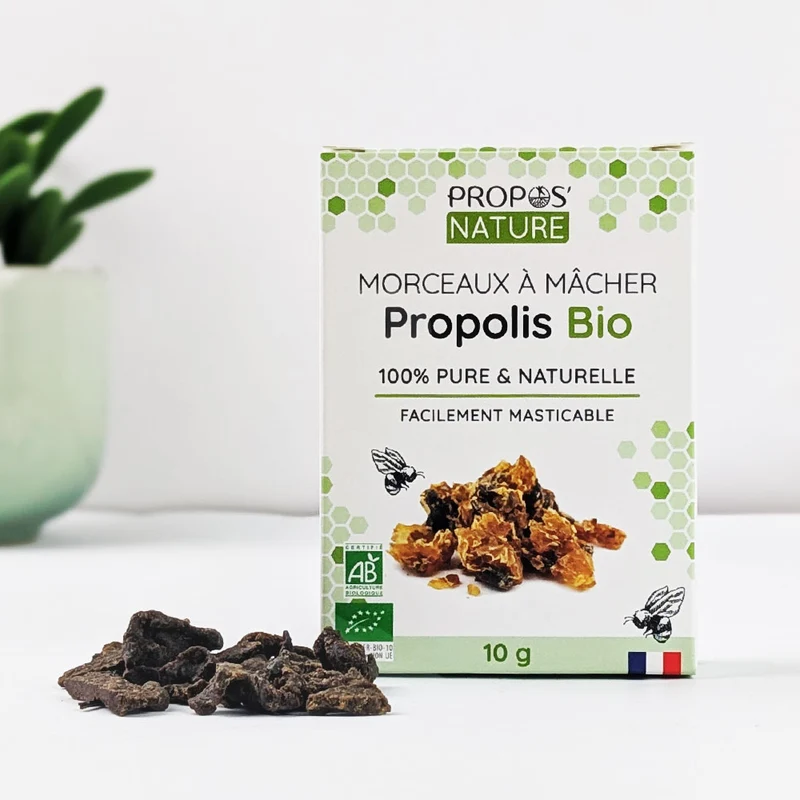 Propolis pure à mâcher Bio