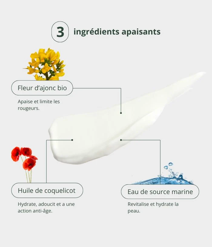 Crème apaisante à l'eau d'ajonc bio