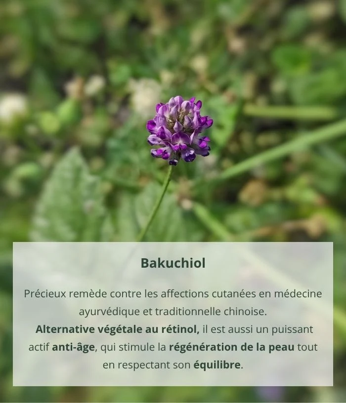 Sérum détox anti-imperfections aux algues marines