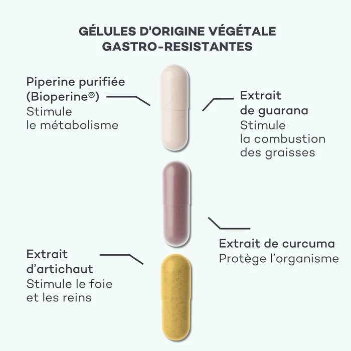Programme Brûle-Graisses - Perte de poids globale
