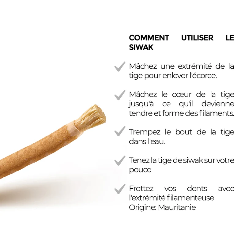 Siwak Naturel Brut – Lot de 20 Miswak – Bâtonnets d'Hygiène Buccale