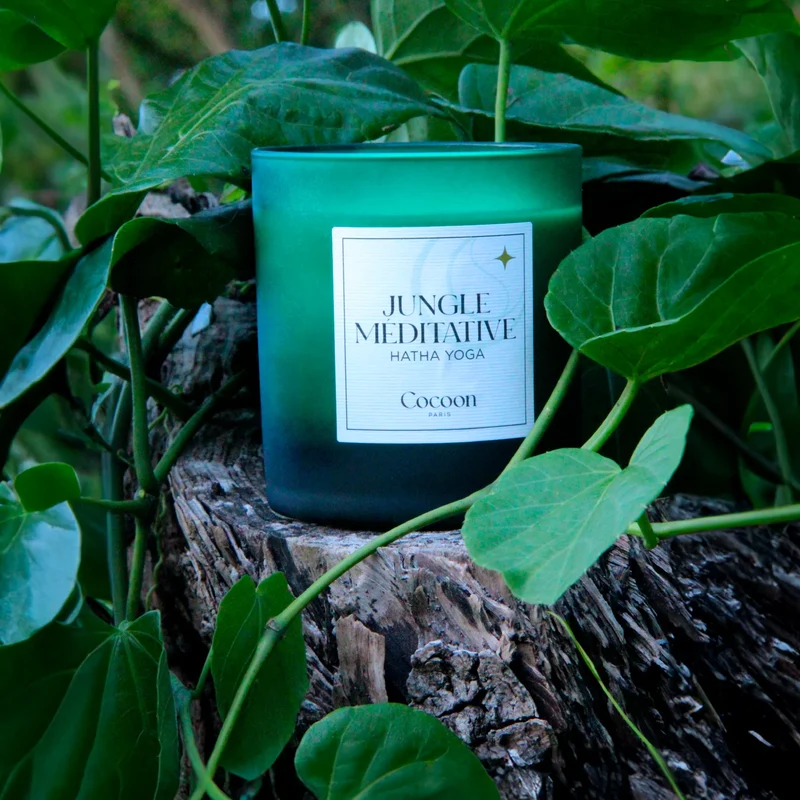 BOUGIE RELAXATION - JUNGLE MEDITATIVE