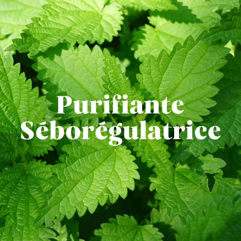 Kit Découverte Shampoing Purifiant