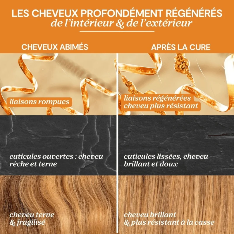 Masque Régénérant