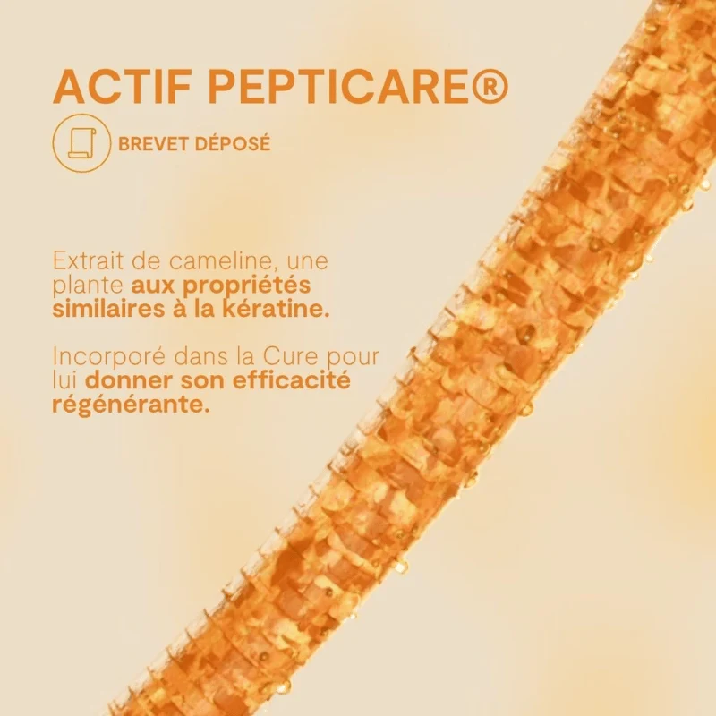 Shampoing Régénérant