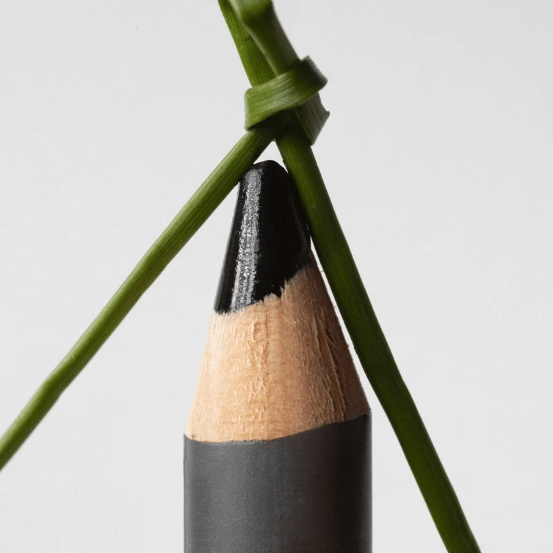 Crayon pour les Yeux - The Eye Pencil