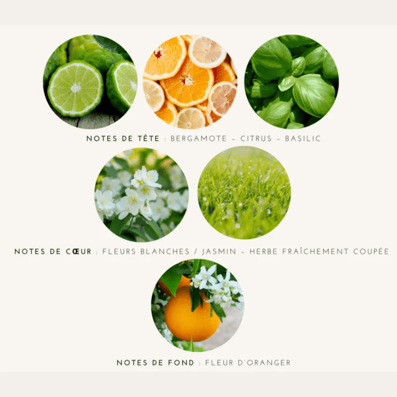 Parfum Solide Apaisant Floral Fruité - Cueillir l’Instant Présent