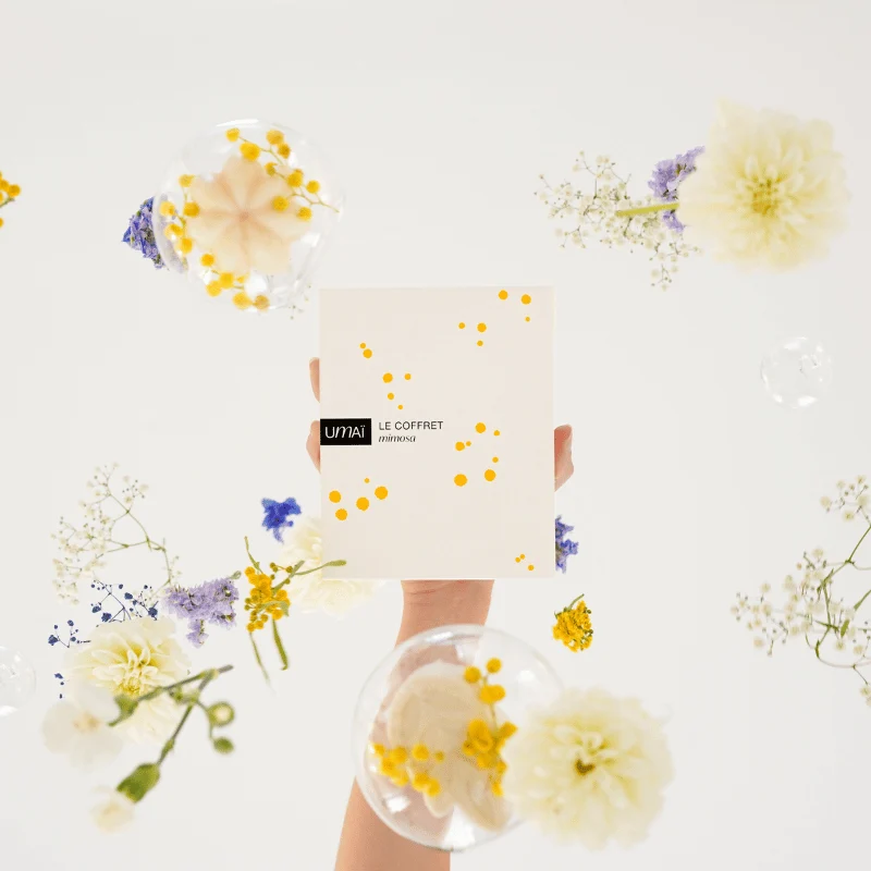 Le Coffret Mimosa