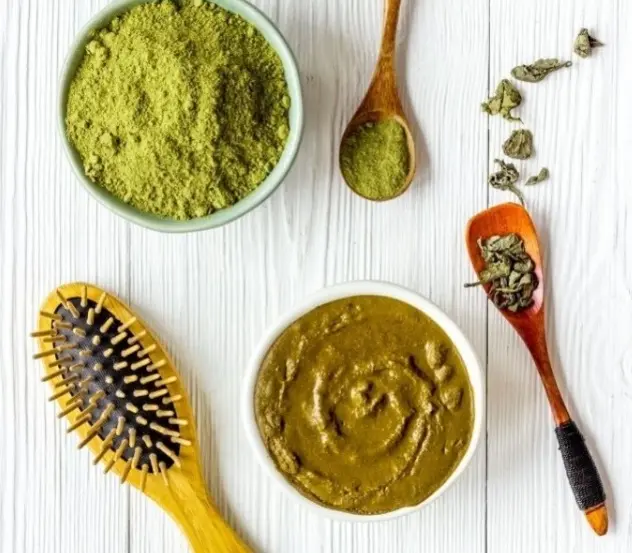 Poudre de Henné BIO Pure 100g - Radico