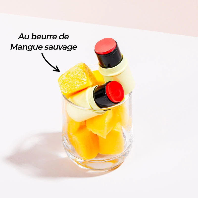 Fantastick - Blush & Baume à lèvres