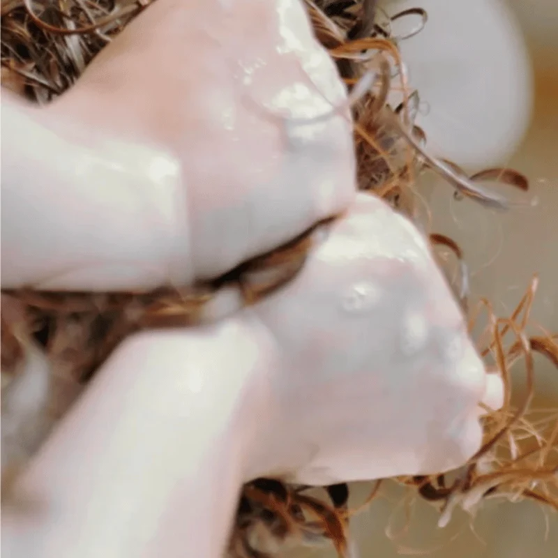 Crème Définition Boucles