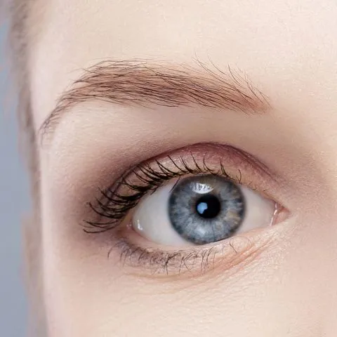 Crayon Sourcils